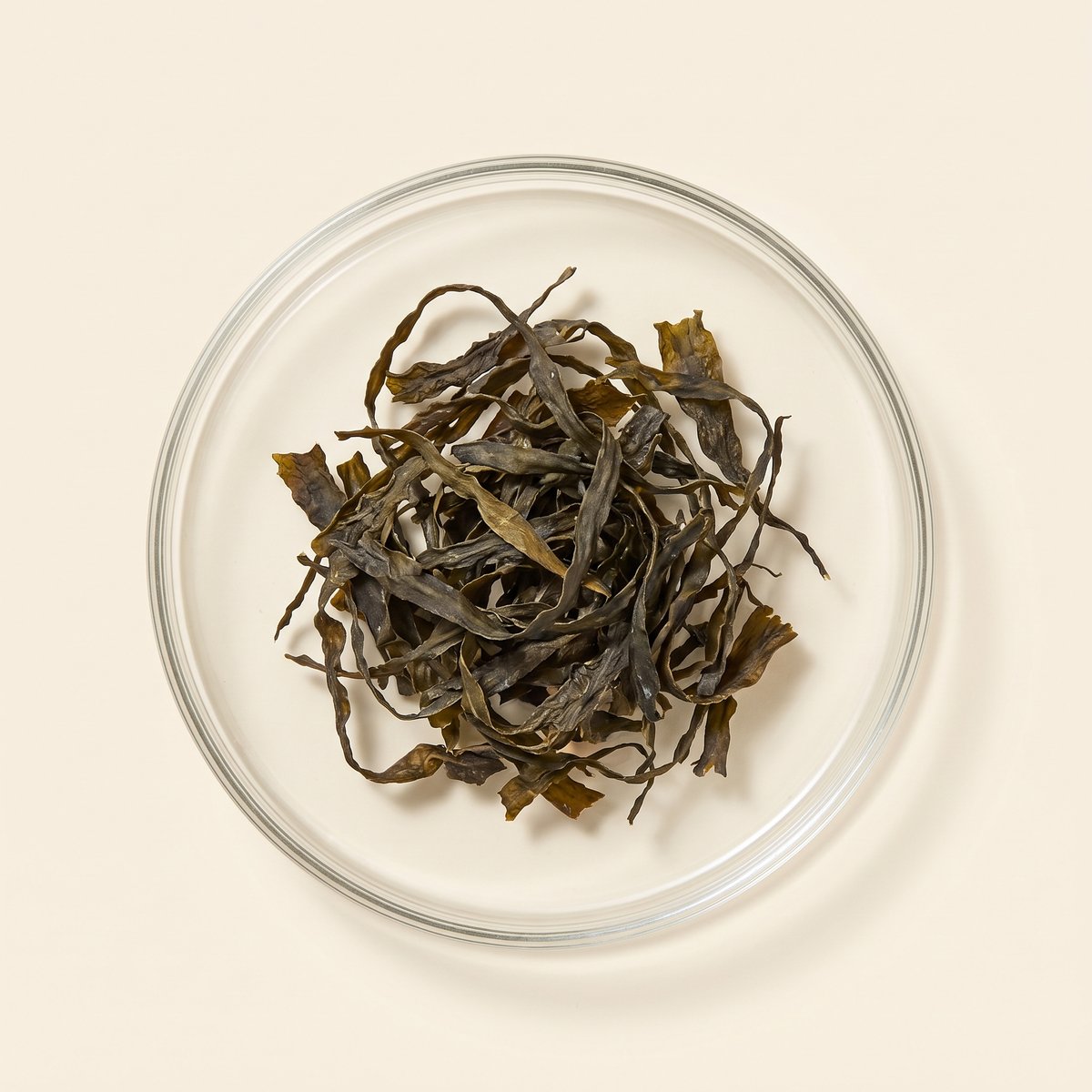 Brown Algae