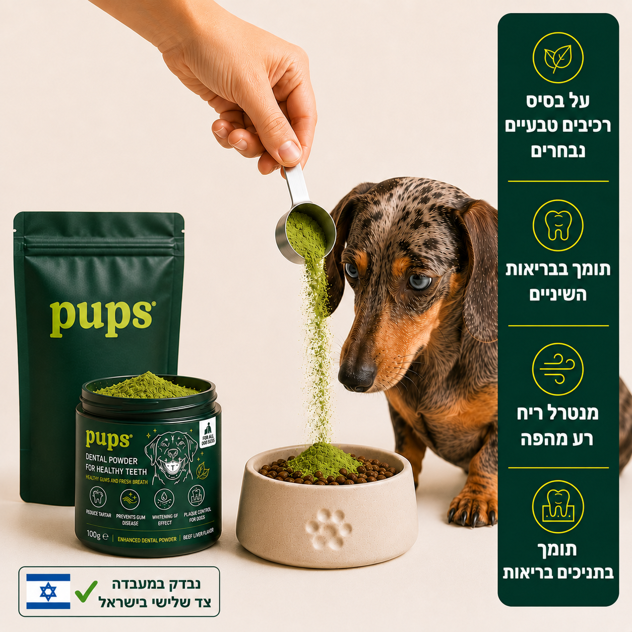 dental powder