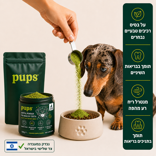 אבקה דנטלית
