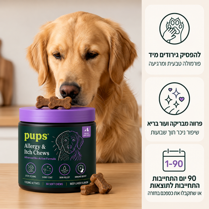 חטיפי אלרגיה