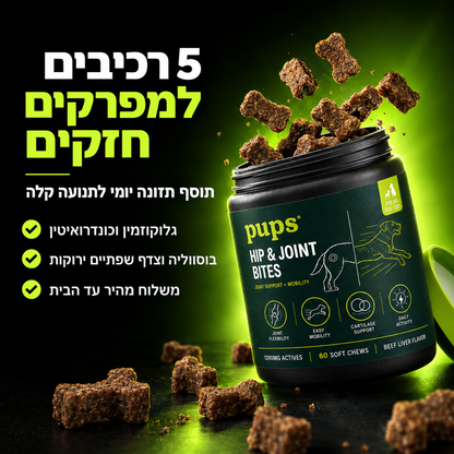 חטיף מתקדם למפרקים