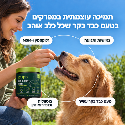 חטיף מתקדם למפרקים