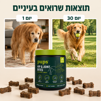 חטיף מתקדם למפרקים