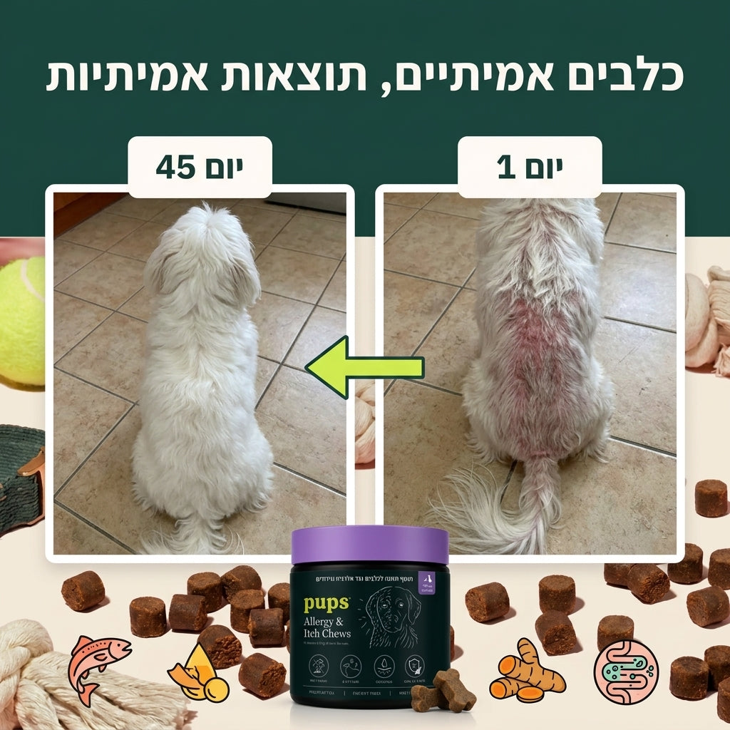 Allergy & itch bites