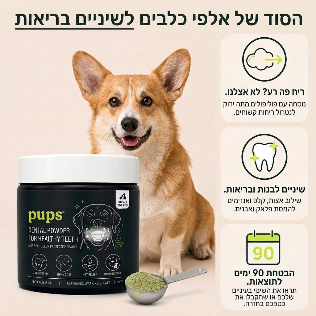 dental powder