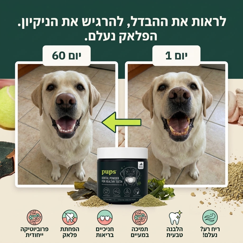 dental powder