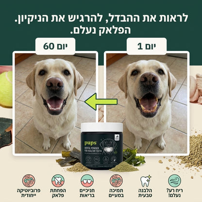 dental powder