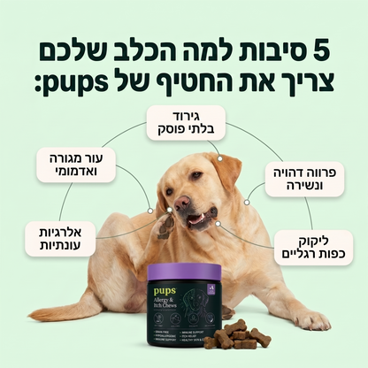 Allergy & itch bites