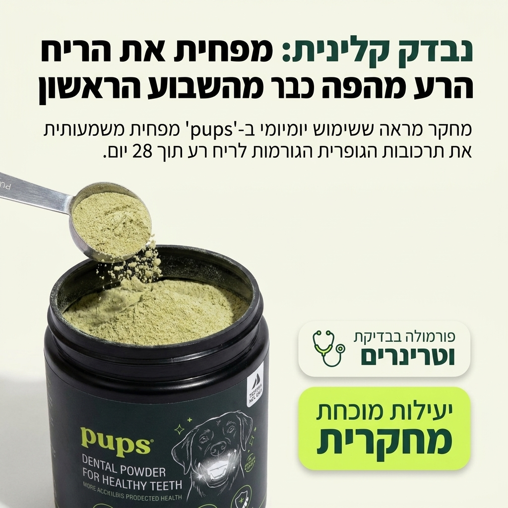 dental powder