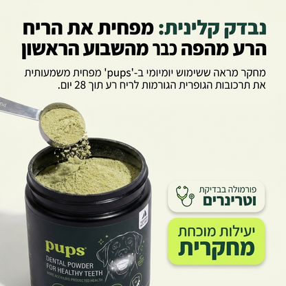 dental powder