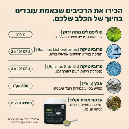 dental powder