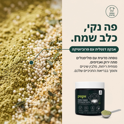 dental powder