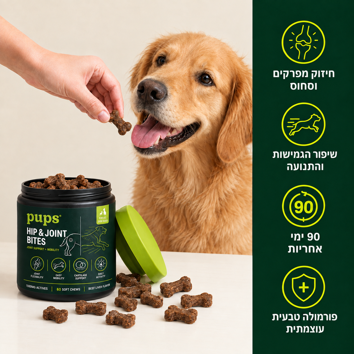 חטיף מתקדם למפרקים