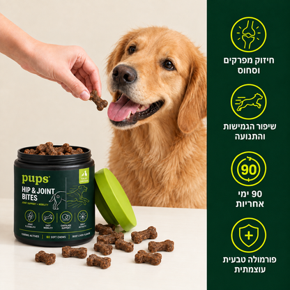 חטיף מתקדם למפרקים