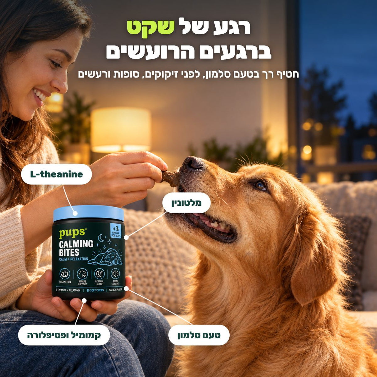 רגע של שקט ברגעים הרועשים