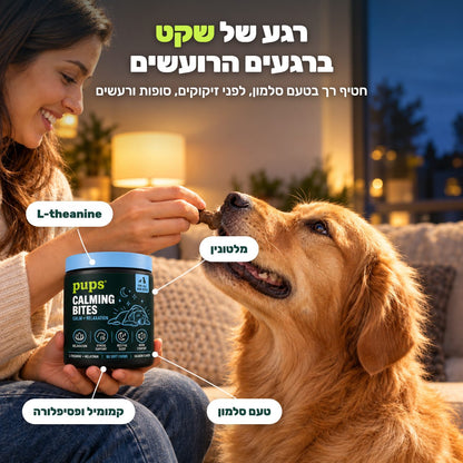 רגע של שקט ברגעים הרועשים