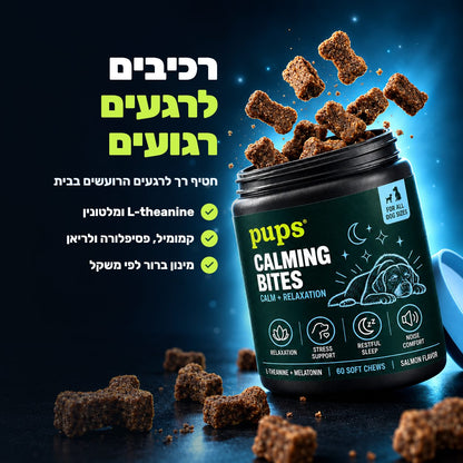רכיבים לרגעים רגועים