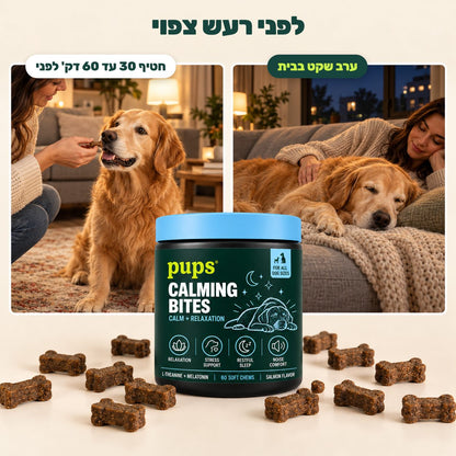 לפני רעש צפוי: חטיף 30 עד 60 דקות לפני